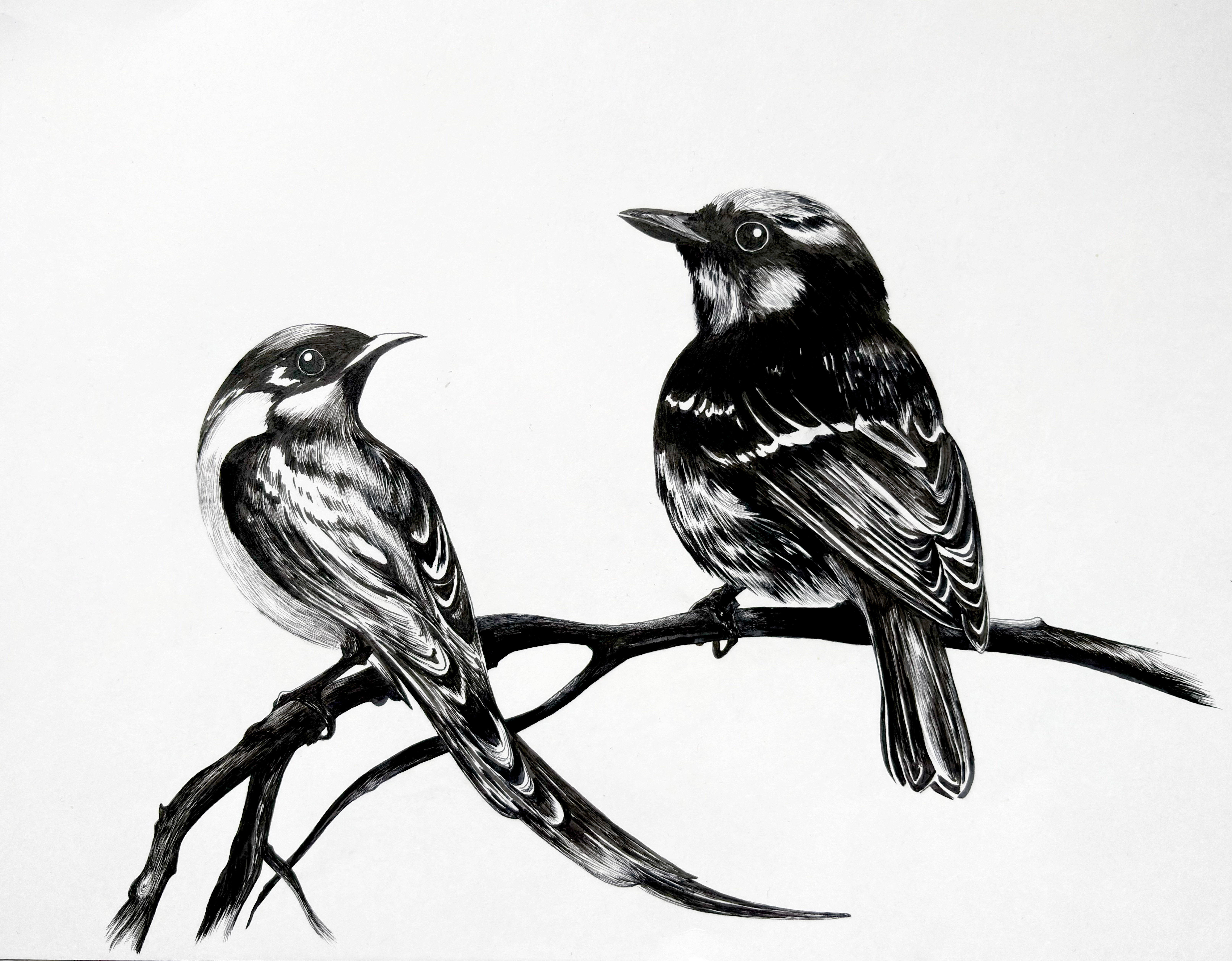 The Geometry of Attention